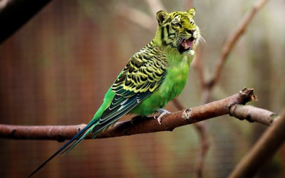 Consistency of Branding