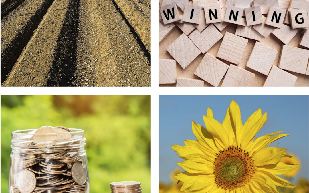The Importance of a Growth Mindset