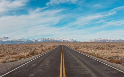 Planning for your business road to recovery