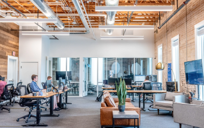 The Four Personality Types in the Workplace